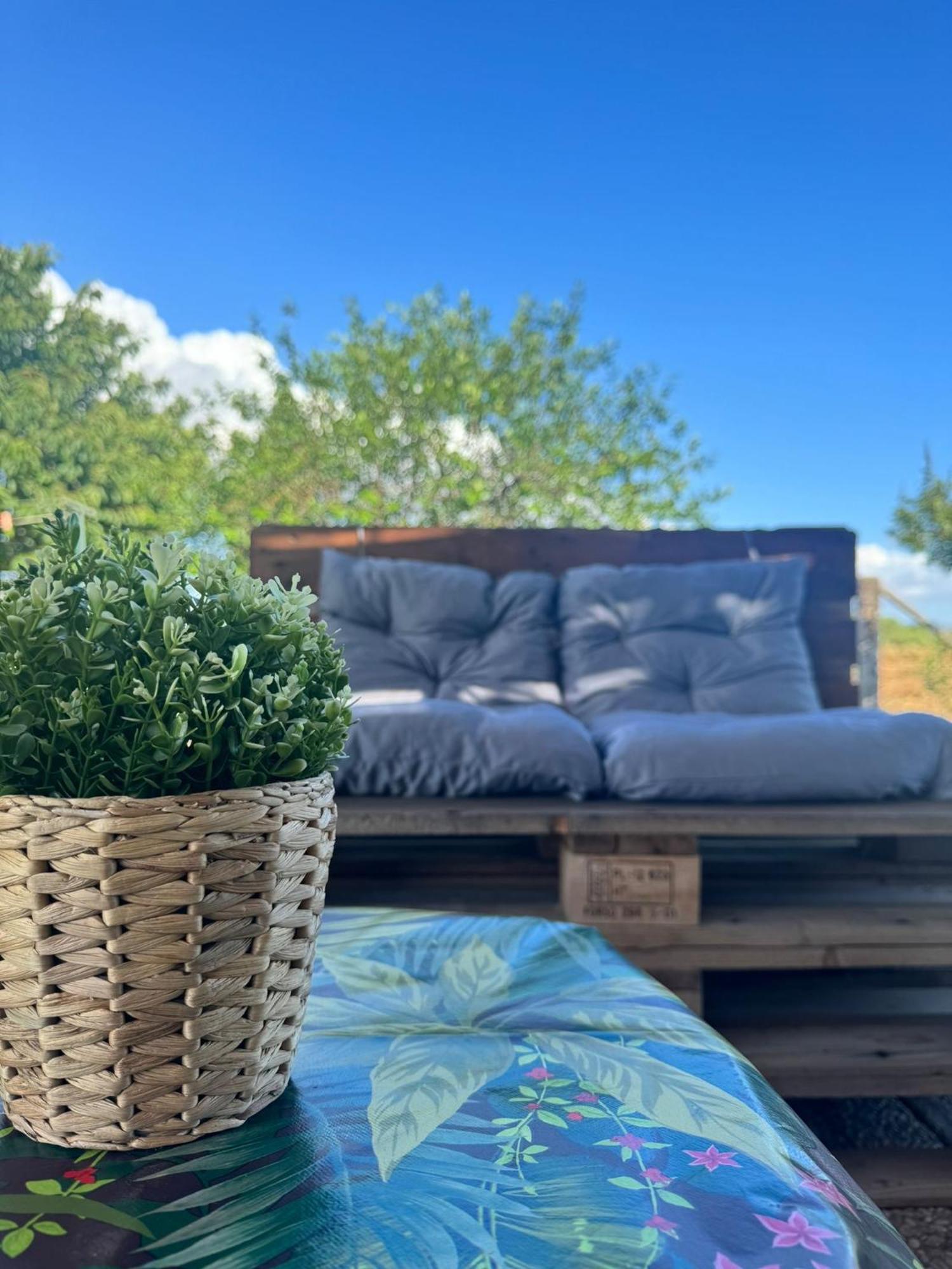 Casa Il Sorbo Villa Tarquinia Eksteriør bilde