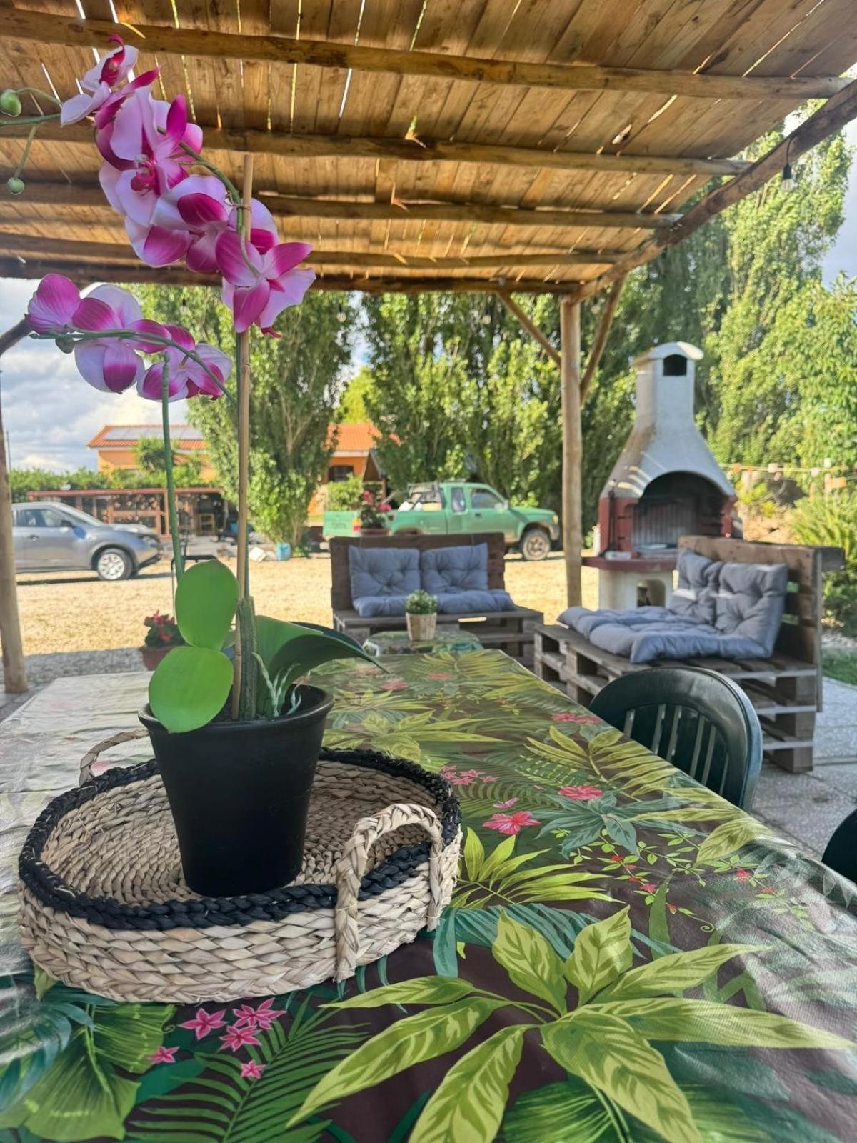 Casa Il Sorbo Villa Tarquinia Eksteriør bilde